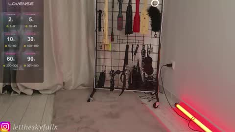 Snapshot of sky011fall chatting on 11.05.25 Eliza online show from 11.05.25