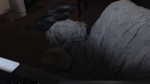 SKYLE   online show from 12.19.24