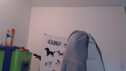 Skyler online show from 02.17.25