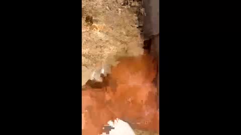 slapaho666 online show from 10.03.25