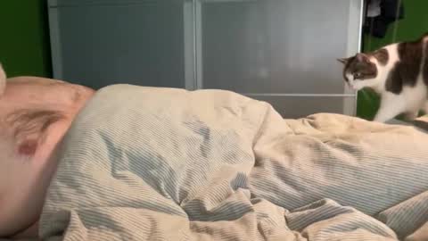 slice5 online show from 04.04.26