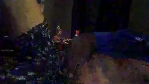 slimeguy315 online show from 09.20.25