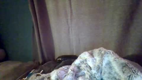 Snapshot of slittiekittie chatting on 03.01.26 slittiekittie online show from 03.01.26