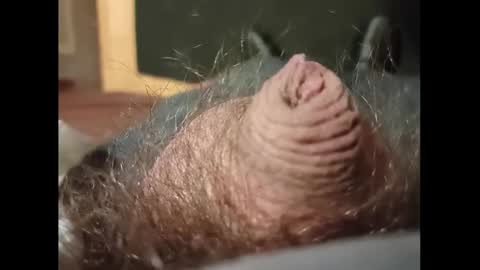 Small Hairy Uncut online show from 01.27.25