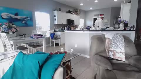 Daddy online show from 12.25.24