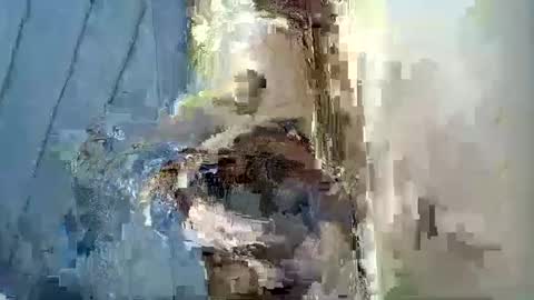 smiley_berry online show from 09.30.25