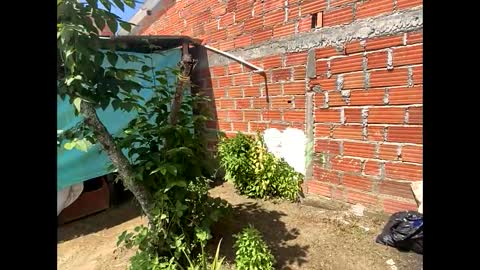 Smith  online show from 12.08.24