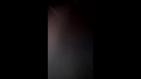 Snapshot of smokewagon22 chatting on 12.29.24 smokewagon22 online show from 12.29.24