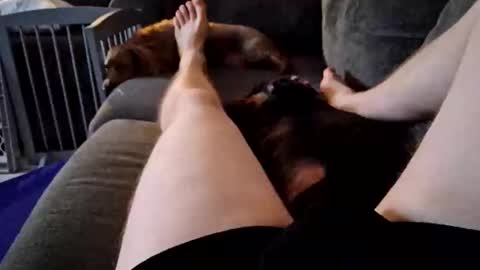 Snapshot of smokynight chatting on 09.14.25 smokynight online show from 09.14.25