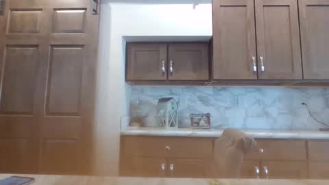 Bambi--Vodka online show from 01.30.25