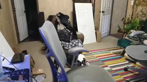 SnackMaster online show from 12.18.24