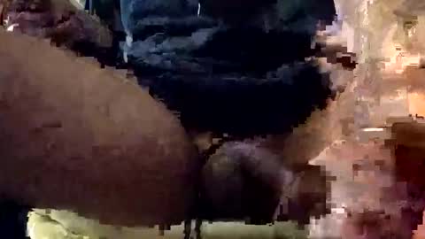 Snapshot of snowdaddy777 chatting on 01.07.26 Lets play n party online show from 01.07.26