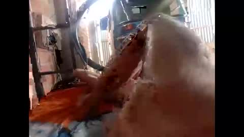 snqhephncxpu online show from 02.17.26