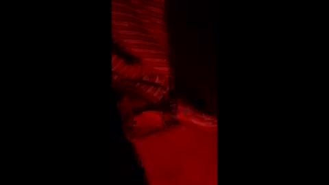 Snapshot of snqhephncxpu chatting on 03.11.26 snqhephncxpu online show from 03.11.26