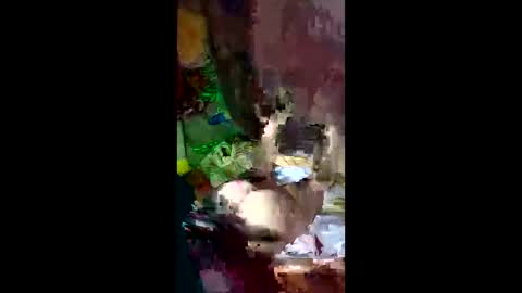 Snapshot of snqhephncxpu chatting on 04.14.26 snqhephncxpu online show from 04.14.26