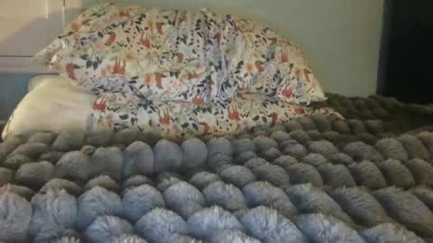 soccerstarnoww online show from 01.24.25