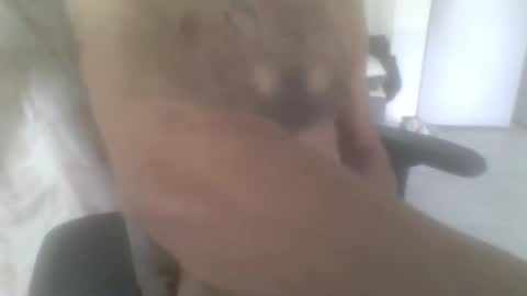 Snapshot of sodomite754 chatting on 11.09.25 sodomite754 online show from 11.09.25