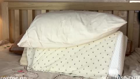 Snapshot of sofftrose chatting on 01.11.25 Julia online show from 01.11.25