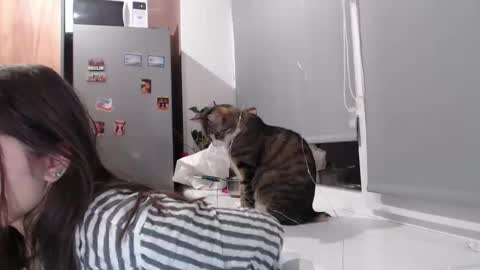 Sofi online show from 02.11.25