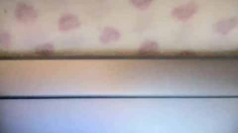 sofia8428 online show from 09.22.25