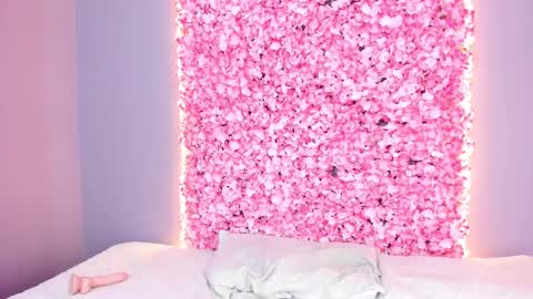 SOFIA online show from 02.11.25