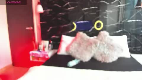 Snapshot of sofiia_rubb chatting on 11.14.25 Sofia online show from 11.14.25