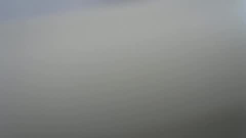 solitariodf2022 online show from 01.19.26