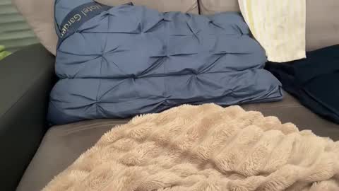 Snapshot of sombre_sdelices chatting on 02.28.26 Tayla online show from 02.28.26