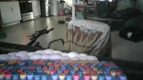 Snapshot of somerandom1109 chatting on 03.25.26 somerandom1109 online show from 03.25.26