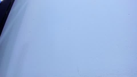 Sophia online show from 02.02.25