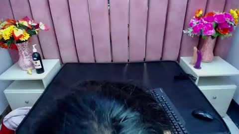 Snapshot of sophi_hardd chatting on 12.13.24 sophi_hardd online show from 12.13.24