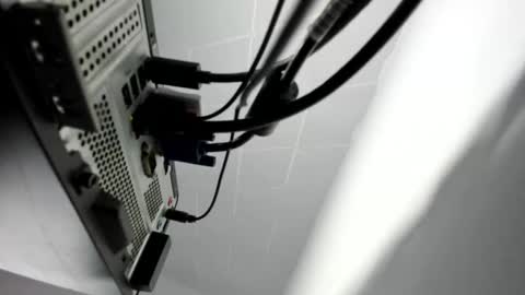 Sophia online show from 11.27.25