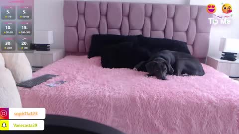 Sophia Carson online show from 01.01.25