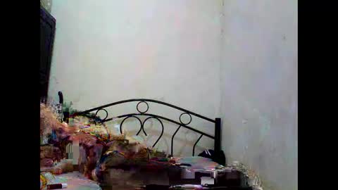 Snapshot of sophialaurel chatting on 10.01.25 sophialaurel online show from 10.01.25