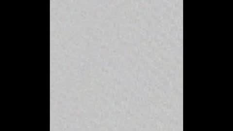 Snapshot of sophie_foxx chatting on 12.09.24 SOPHIE - FOXX online show from 12.09.24