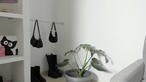 sophie  online show from 07.07.26