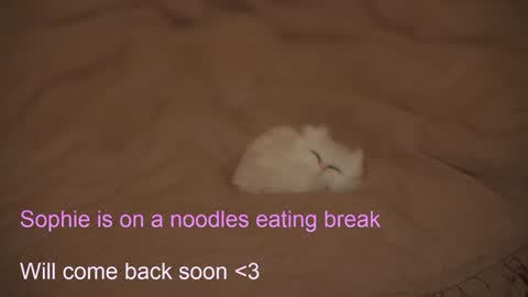 Sophie  Next stream  3 online show from 02.06.25