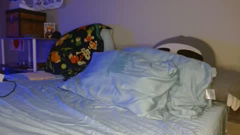 Snapshot of sophiepine chatting on 03.04.26 SophiePine online show from 03.04.26