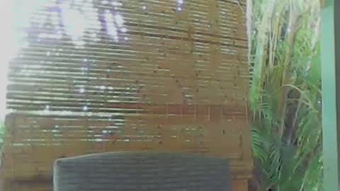 soveryhandsome online show from 01.09.25