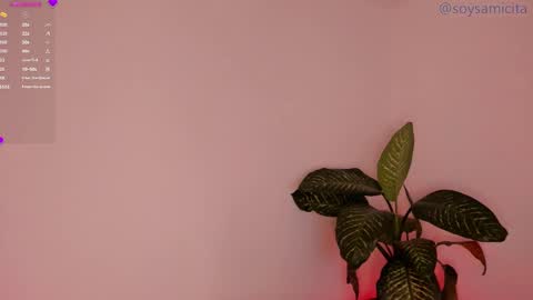 Sami Diaz   online show from 12.17.24