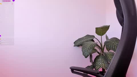 Sami Diaz   online show from 01.07.25