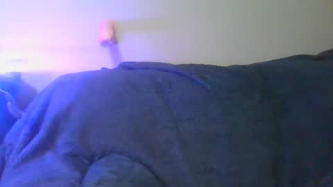 Scottietee online show from 04.11.26