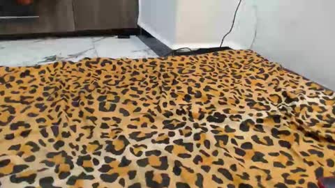 dela online show from 09.13.25