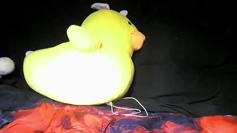 Daddy  His Splash Queen online show from 12.05.25