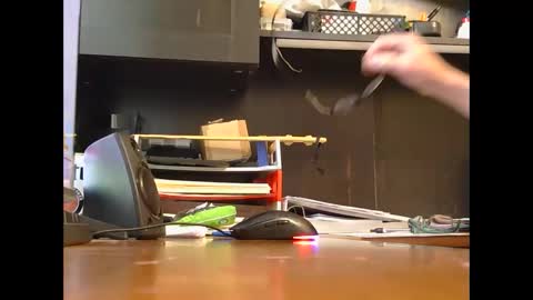 spoiler5 online show from 12.03.25