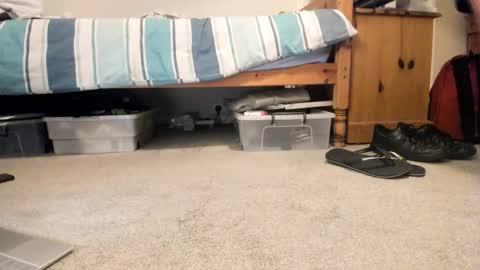 Snapshot of sportyguy283 chatting on 01.18.26 Sportyguy283 online show from 01.18.26