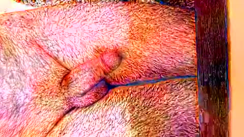 sprayx online show from 02.08.26