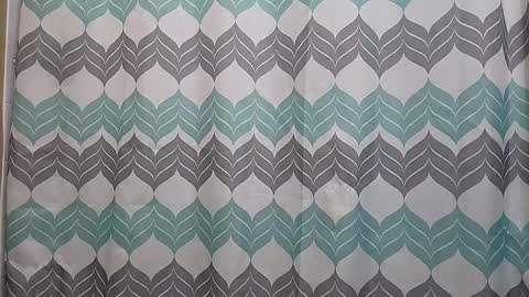 Snapshot of spreading24 chatting on 12.22.24 Rawmen Nudeles online show from 12.22.24