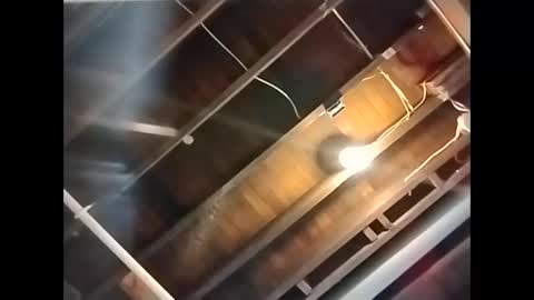 spundaddyandprincess online show from 12.01.24