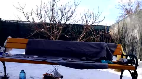 Snapshot of squirt_bunny77 chatting on 02.20.25 My name is Maya Lush is activeThere are legends that in this room all your wishes can come true Private is Open online show from 02.20.25